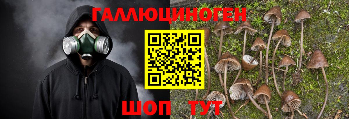 Псилоцибиновые грибы ЛСД Светлоград