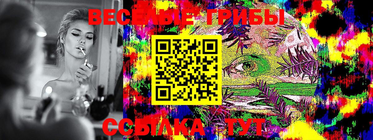 Псилоцибиновые грибы Magic Shrooms  Псилоцибиновые грибы Magic Shrooms  Светлоград  Вход с VPN 
